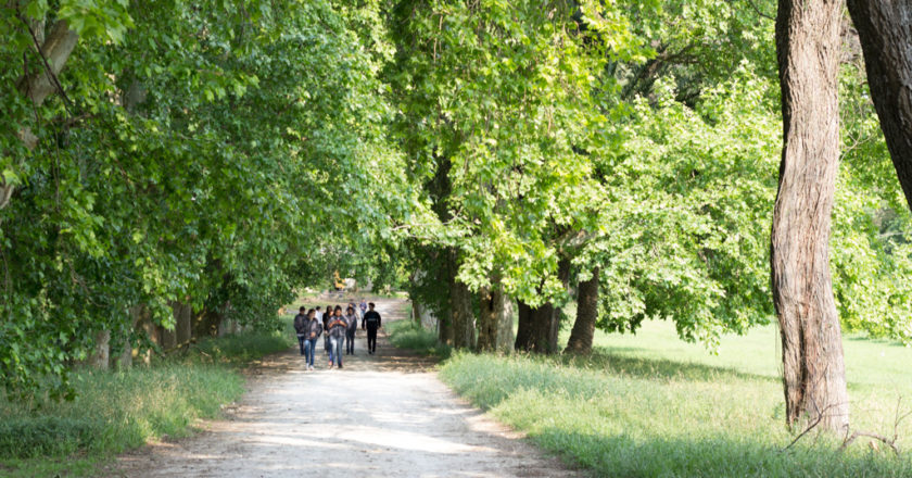 Primera Jornada Interinstitucional de «Arte, Ciencia y Tecnología» y las cuartas Jornadas de Educación Agropecuaria